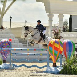 Switch Willo Stables