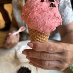 Anita La Mamma del Gelato - Strawberry