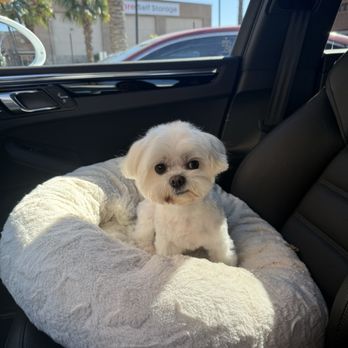 Moco Pet Grooming & Spa - Pet Groomers Near Me - Tustin, California Moco Pet Grooming & Spa - Pet Groomers Near Me - Tustin, California