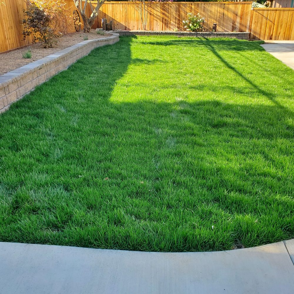 New lawn, fencing, retaining wall w plants and trees. New lawn, fencing, retaining wall w plants and trees.