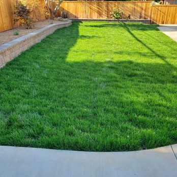 Elegante Landscapes - New lawn, fencing, retaining wall w plants and trees. - Landscaping Near Me - North Highlands, California Elegante Landscapes - New lawn, fencing, retaining wall w plants and trees. - Landscaping Near Me - North Highlands, California