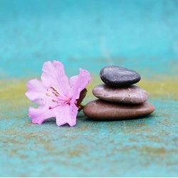 Mind Spa Guided Meditation & Hypnotherapy
