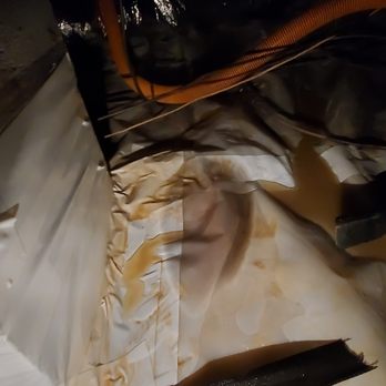 Live Green - again shows water coming up through the non smooth tape - Insulation Installation Near Me - Raleigh, North Carolina