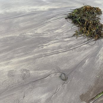 Ventry Beach - Beaches Near Me - Dingle Peninsula, Kentucky