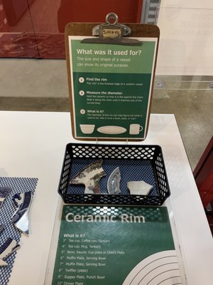 Alexandria Archaeology Museum by null