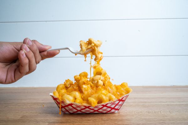 The Nugget Spot by null