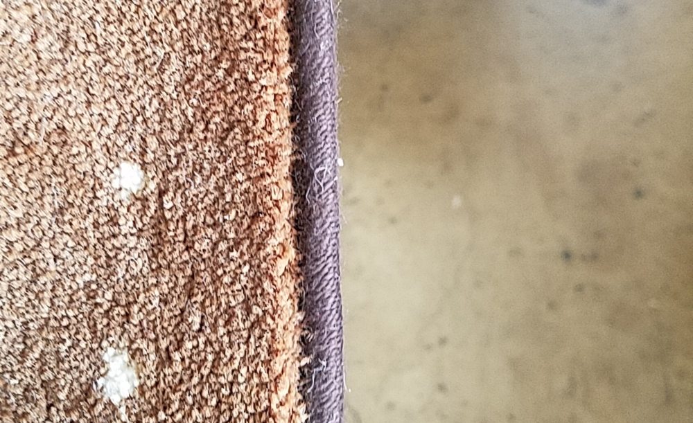 ANGELL CARPET AND RUG BINDING Updated September 2024 18 Photos