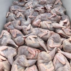 Olivor Heritage Farms - Local Quail