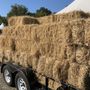 Photo of Fiorentino's Farm Market