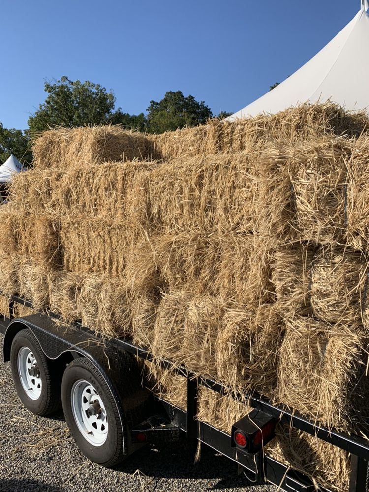 FIORENTINO’S FARM MARKET Updated October 2024 83 Photos & 19