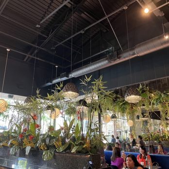 Pineapple Thai - Artificial plants, geometric patterns of pineapples & unique lighting. Idea -pineapple painted up on the ceiling w/ "Pineapple Thai". - Thai Near Me - Cupertino, California
