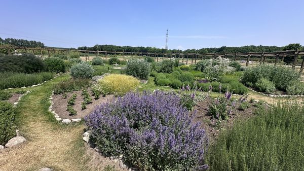 Cherry Point Farm & Market by null