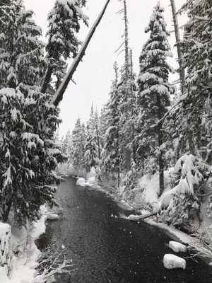 Whistler Olympic Park by null
