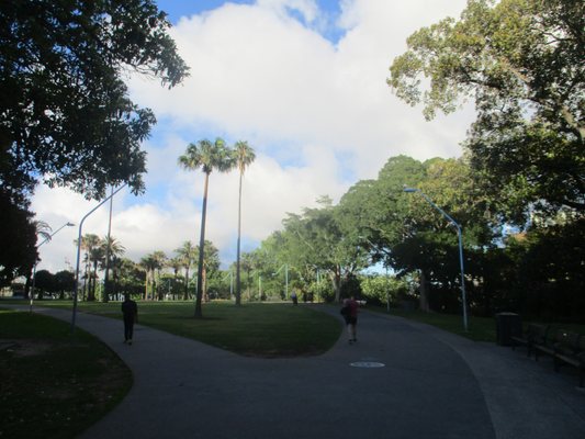 Prince Alfred Park by null