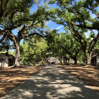 Shoot For The Moon Travels - Louisiana Oak Alley - Travel Agents Near Me Shoot For The Moon Travels - Louisiana Oak Alley - Travel Agents Near Me