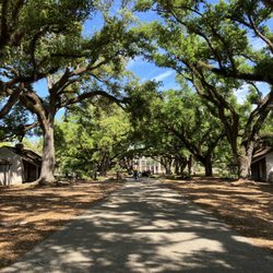Shoot For The Moon Travels - Louisiana Oak Alley