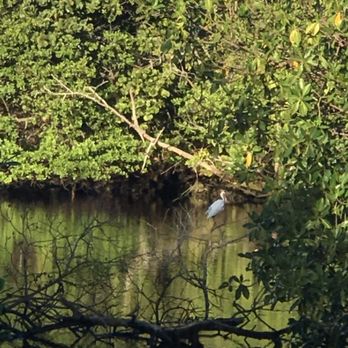 Colohatchee Park - Parks Near Me - Wilton Manors, Florida Colohatchee Park - Parks Near Me - Wilton Manors, Florida