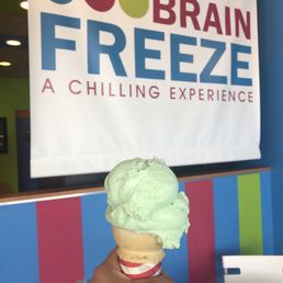 Small Pistachio Ice Cream Small Pistachio Ice Cream