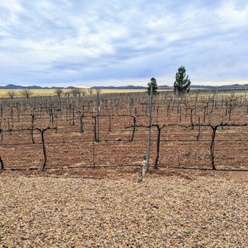 Autumn Sage Vineyards - Wine Tasting Room Near Me - Elgin, Arizona