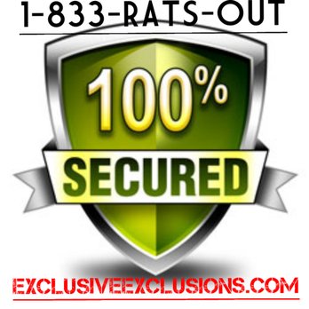 Exclusive Exclusions - Pest Control Near Me Exclusive Exclusions - Pest Control Near Me