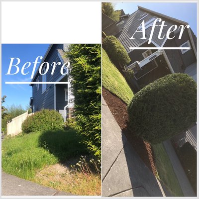 LAWN MAINTENANCE - Our clients love the care we put into their lawn. We have an array of recurrent clients and would love to work with you as well. Feel free to reach out today! LAWN MAINTENANCE - Our clients love the care we put into their lawn. We have an array of recurrent clients and would love to work with you as well. Feel free to reach out today!