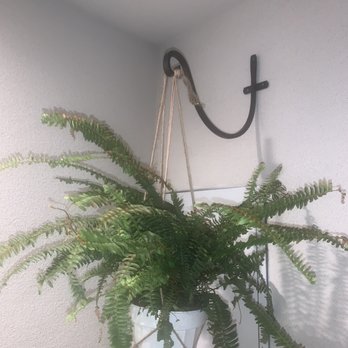 Amir Handyman - One of two plant hangers hung from stucco - Handyman Near Me Amir Handyman - One of two plant hangers hung from stucco - Handyman Near Me