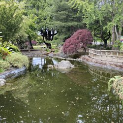 Kaibara Park - The coi pond