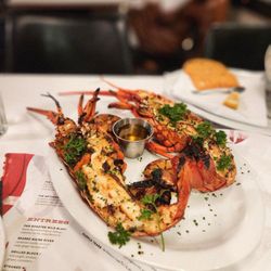 Fishing With Dynamite - Spiny Lobster