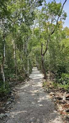 John Pennekamp Coral Reef State Park by null