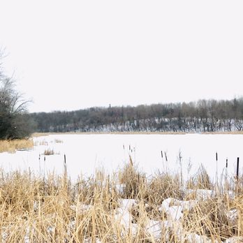 Baker Park Reserve Campground & Beach - The hill lake view. - Hiking Near Me - Medina, Minnesota