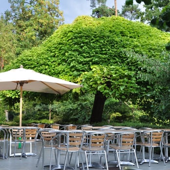 Le Bosquet - Bars Near Me - Vincennes, 94