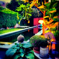 Sombat - The Garden