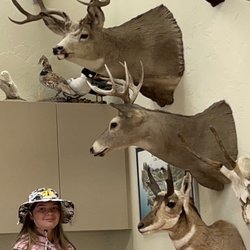 montana wildlife center - Nice