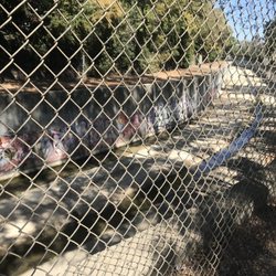 Old Creek Dog Park of Cherryland