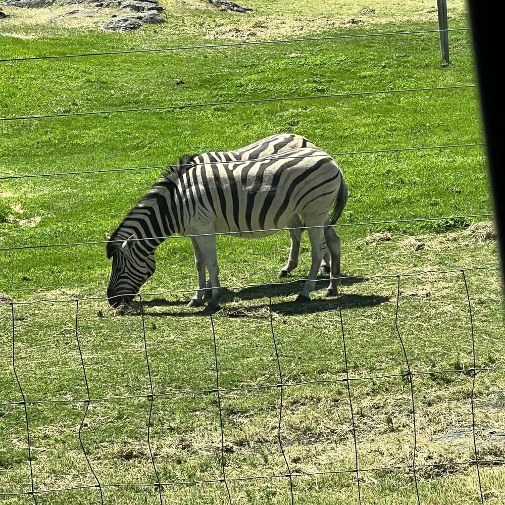 Schreiner Farms - Schreiner Farms - Zoos Near Me - Lyle, Washington Schreiner Farms - Schreiner Farms - Zoos Near Me - Lyle, Washington