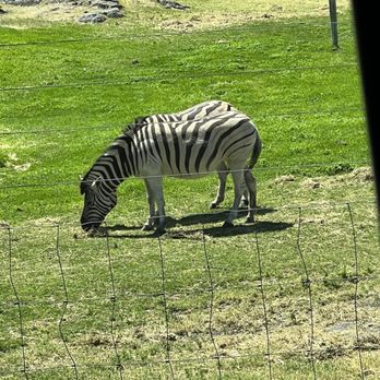 Schreiner Farms - Schreiner Farms - Zoos Near Me - Lyle, Washington Schreiner Farms - Schreiner Farms - Zoos Near Me - Lyle, Washington