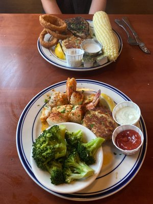 Ship Bottom Shellfish by null
