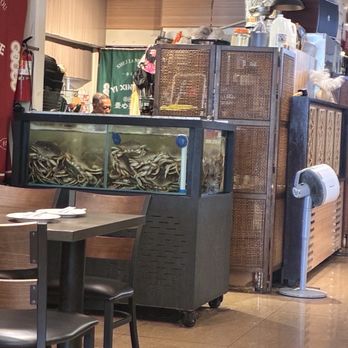 Yi Xin Cafe - Crab tank - Hong Kong Style Cafe Near Me - Honolulu, Hawaii Yi Xin Cafe - Crab tank - Hong Kong Style Cafe Near Me - Honolulu, Hawaii