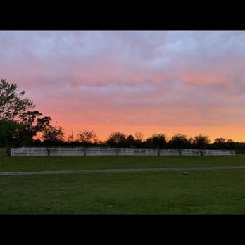 Stables at Serenity Farms - Horse Boarding Near Me - Molino, Florida