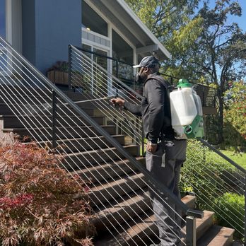 CalPro Pest Control - Pest Control Near Me - Loomis, California CalPro Pest Control - Pest Control Near Me - Loomis, California