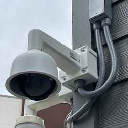 Pictele Solutions