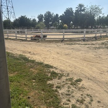 King of Kings Equestrian Ranch - Let your four legged friend do some rolling and yoga stretches. - Horseback Riding Near Me - Paramount, California King of Kings Equestrian Ranch - Let your four legged friend do some rolling and yoga stretches. - Horseback Riding Near Me - Paramount, California