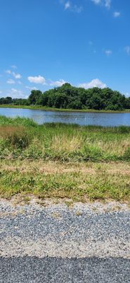 Bombay Hook National Wildlife Refuge by null
