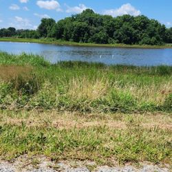 Bombay Hook National Wildlife Refuge - If you look close enough, you may see birds