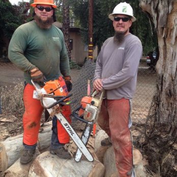 MGT Pro Tree Care - True experts! - Tree Services Near Me - Athol, Idaho MGT Pro Tree Care - True experts! - Tree Services Near Me - Athol, Idaho