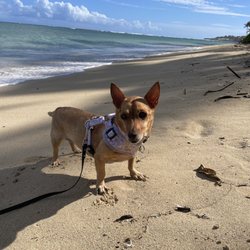 Hunakai Beach
