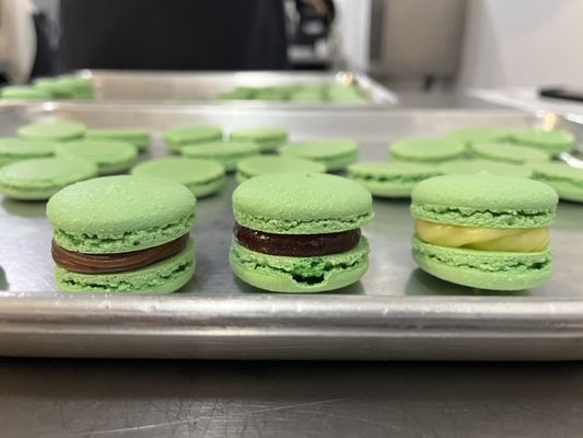 Atelier Sucre by null