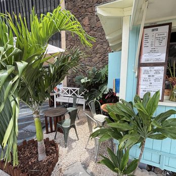 Better Daze - Coffee & Tea Near Me - Honolulu, Hawaii