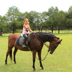 Dixie Stables and Riding Academy