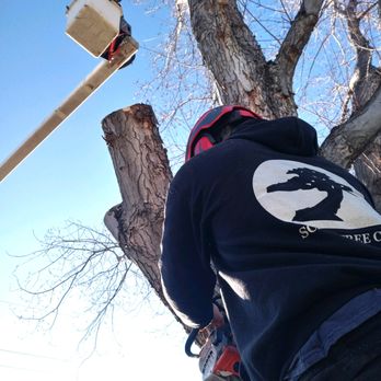 Schra Tree Care - Tree Services Near Me - Loveland, Colorado Schra Tree Care - Tree Services Near Me - Loveland, Colorado